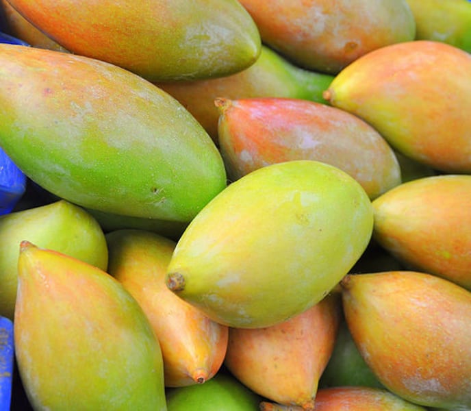 Totapuri Mango - The Unique Shape