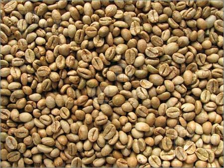Robusta Coffee from India