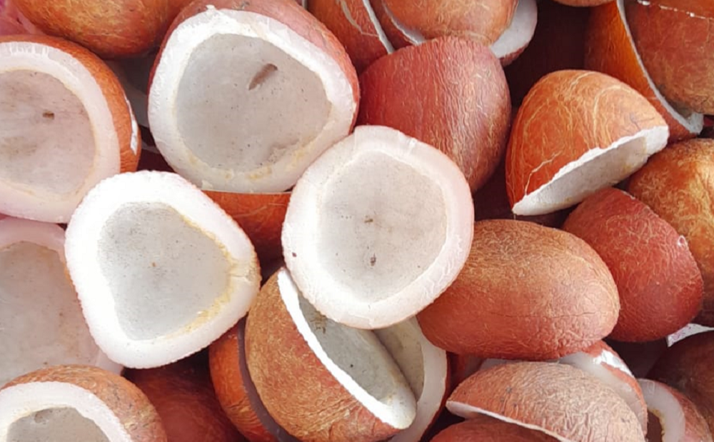 Dry Coconuts (Copra)