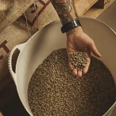 Coffee Beans Processing