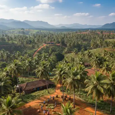 Coconut farm