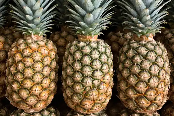 GlobalShipify PineApple