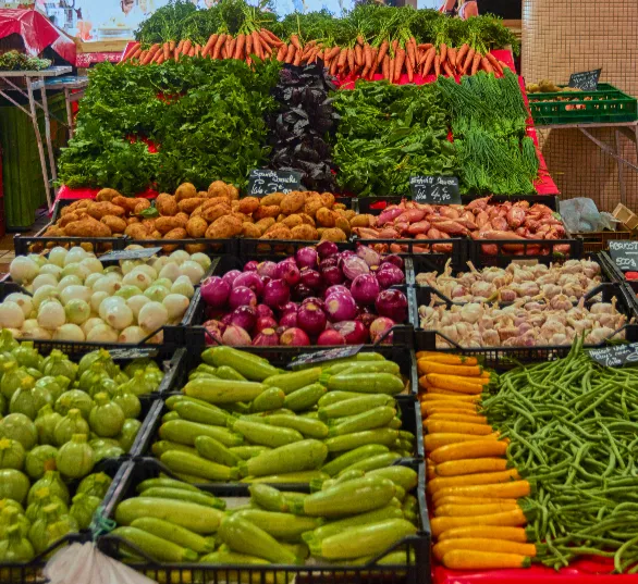 Fresh vegetables sorted and packed for export